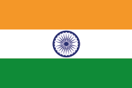 in flag