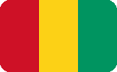 GUINEA logo